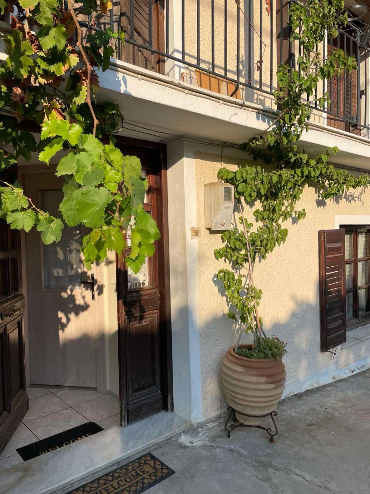 העיירה סקיאתוס Katerinas Apartmens מראה חיצוני תמונה